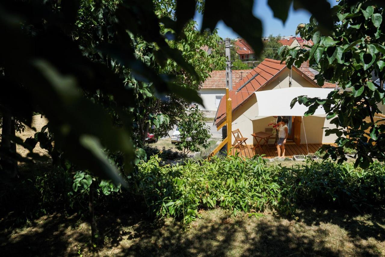 Borház * Eger