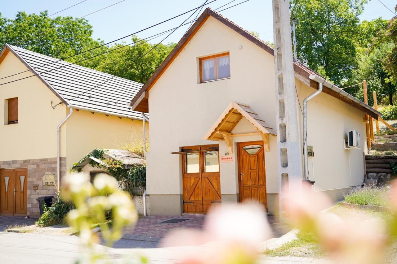 Borház